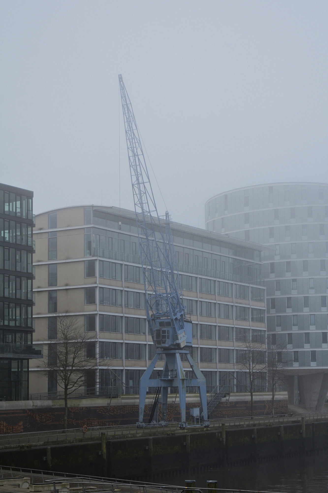 _DSC8063.jpg