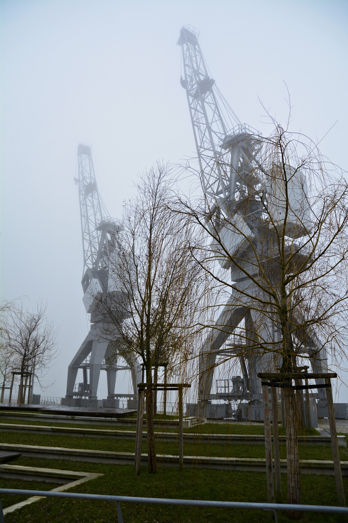 _DSC8073.jpg