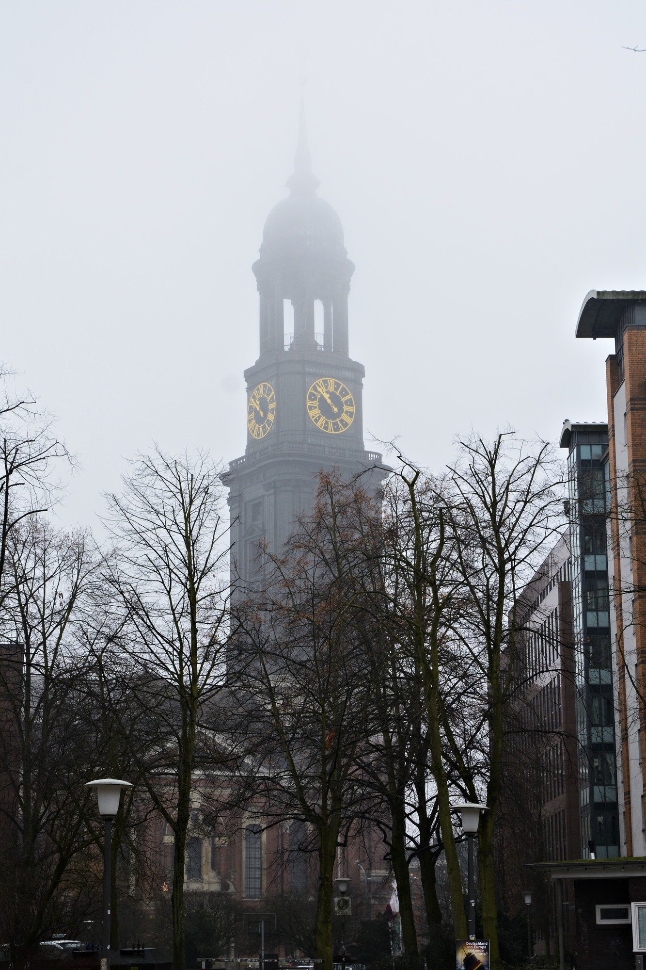 _DSC8091.jpg